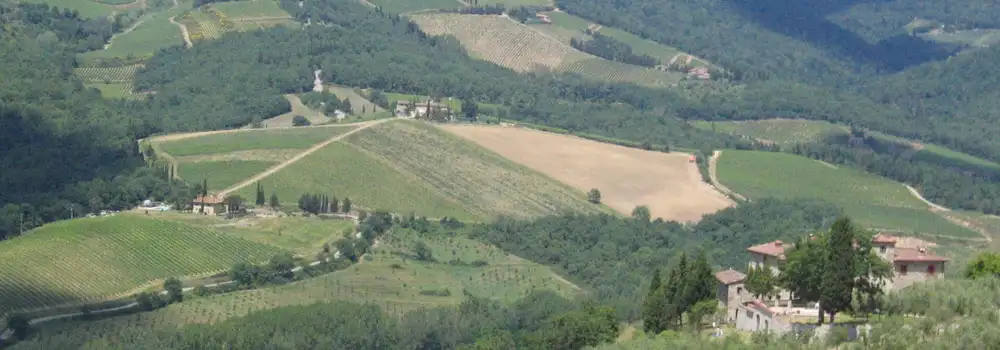 Radda in Chianti