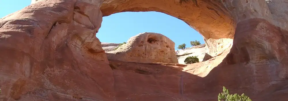 Fruita